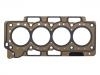 Cylinder Head Gasket:481H-1003080